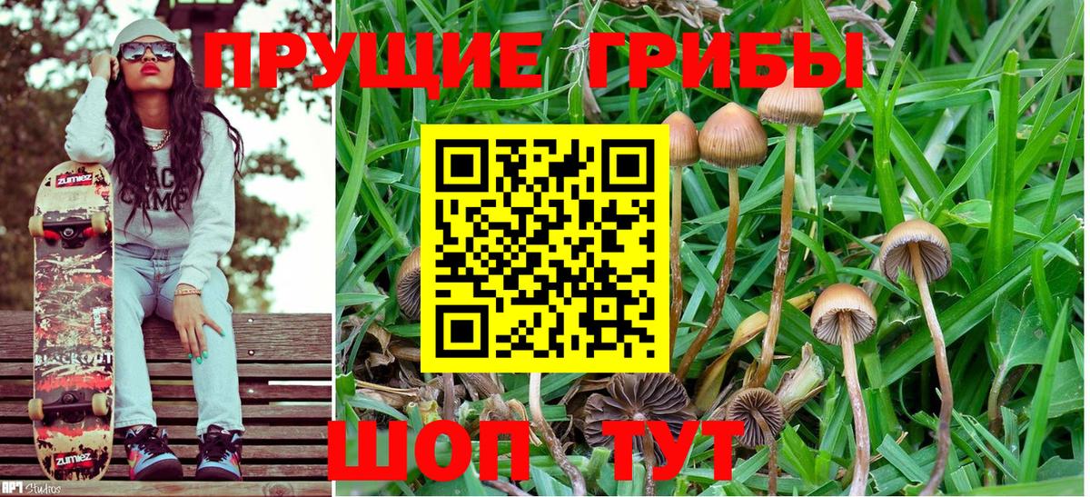 Галлюциногенные грибы мицелий  Вход с VPN  Таганрог 